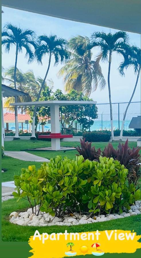 Isla Verde Frente A La Playa Y Piscina, Centrico Y Accesible Сан-Хуан Екстер'єр фото
